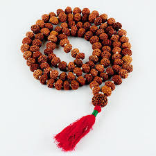 7 Mukhi Premium Rudraksha