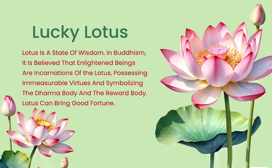 Lucky Lotus